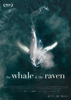 Filmplakat The Whale and the Raven